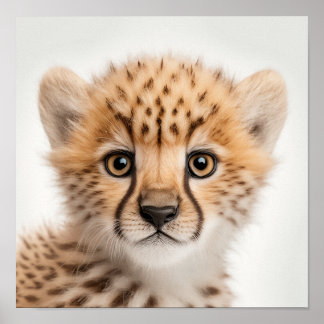 Niedlich Baby Cheetah Portrait | Platz 1:1 Poster