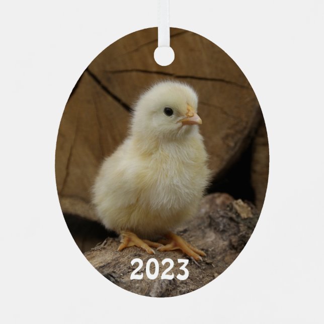 Niedlich Baby Chick Ornament Aus Metall (Rückseite)