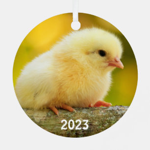 Niedlich Baby Chick Ornament Aus Metall