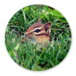 Niedlich Baby Chipmunk Peeking Wildlife Keramikknauf