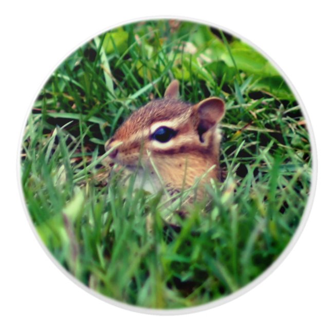 Niedlich Baby Chipmunk Peeking Wildlife   Keramikknauf (Vorderseite)
