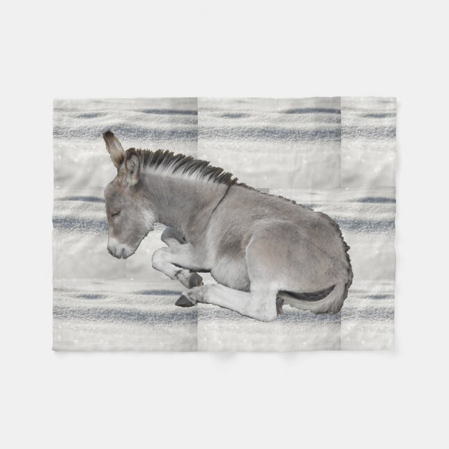Niedlich Baby Donkey Foal on Snow Fleecedecke (Vorderseite (Horizontal))