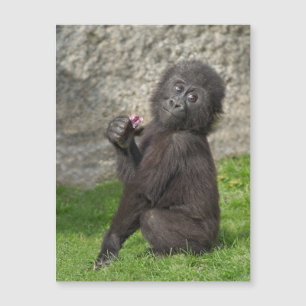 Niedlich Baby Gorilla Magnetkarte