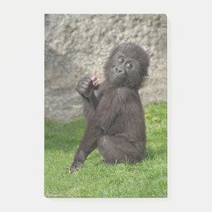 Niedlich Baby Gorilla Post-it Klebezettel