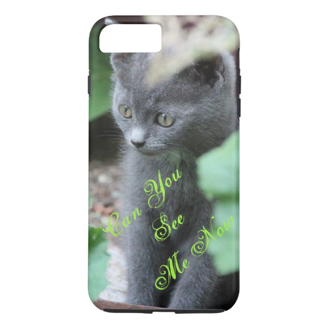 Niedlich Baby Gray Kitten iPhone Cover (Rückseite)