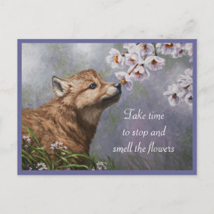 Niedlich Baby Gray Wolf Pup und Blume Postkarte