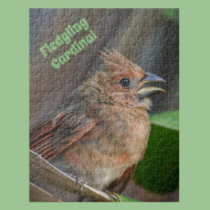 Niedlich Baby Kardinal Bird Fotografie-Natur Puzzle