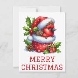 Niedlich Baby Kardinal Weihnachtskarte Feiertagskarte