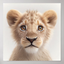 Niedlich Baby Lion Portrait | Platz 1:1