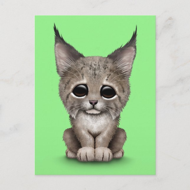 Niedlich Baby Lynx Cub auf Green Postkarte (Vorderseite)