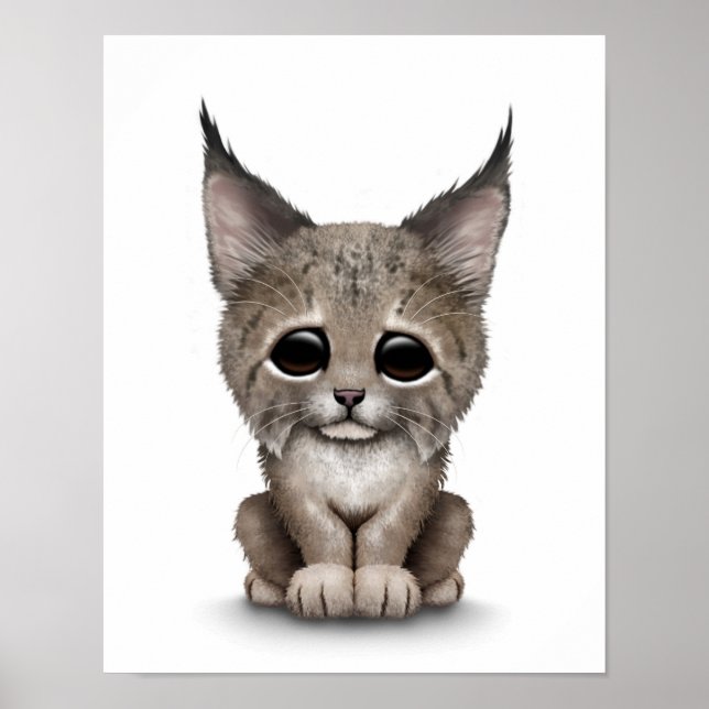 Niedlich Baby Lynx Cub auf White Poster (Vorne)