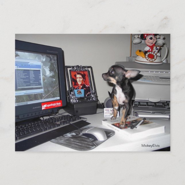 Niedlich Baby Mickey Elvis 1 Postkarte (Vorderseite)