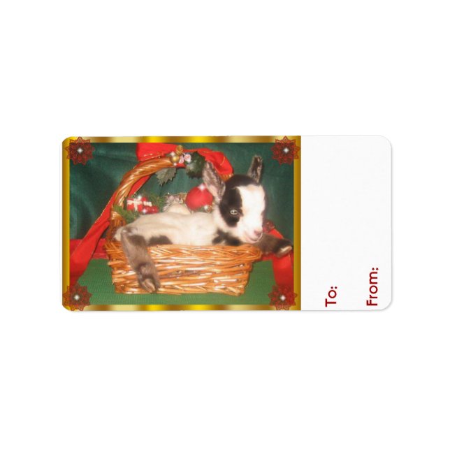 Niedlich Baby Myotonic Goat Weihnachtsgeschenk Tag Adressaufkleber