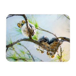 Niedlich Baby Owls Wildlife Fotografy Magnet