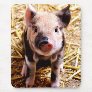 Niedlich Baby Pig Mousepad