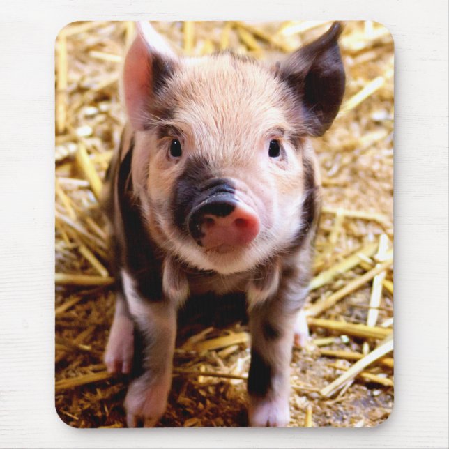Niedlich Baby Pig Mousepad (Vorne)
