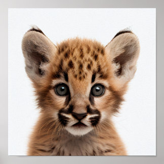 Niedlich Baby Puma Portrait | Platz 1:1 Poster