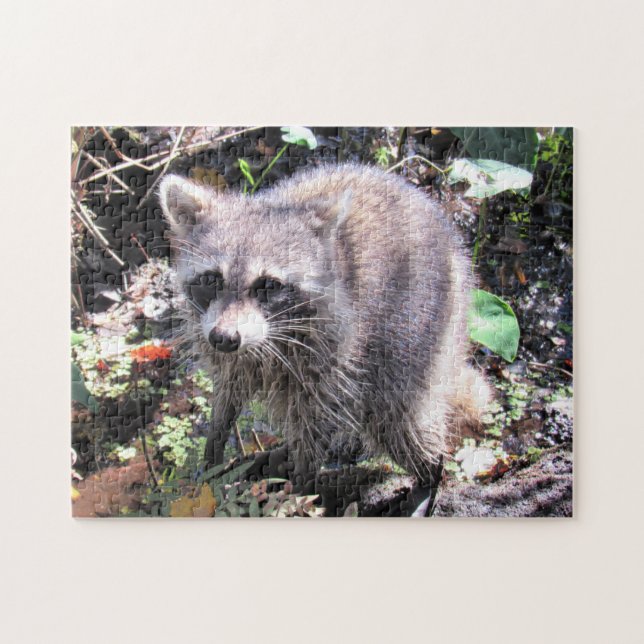 Niedlich Baby Raccoon Foraging Jigsaw Puzzle (Horizontal)