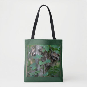 Niedlich Baby Raccoons