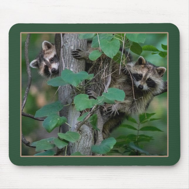 Niedlich Baby Raccoons Mousepad (Vorne)