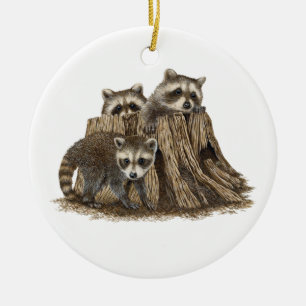Niedlich Baby Raccoons Ornament