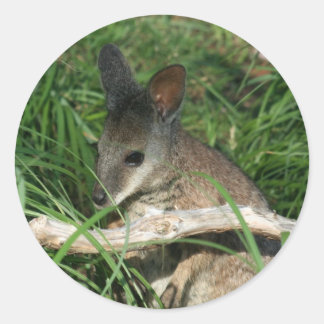 Niedlich Baby Wallaby Runder Aufkleber