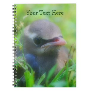 Niedlich Baby Waxwing Bird Animal Notebook Notizblock