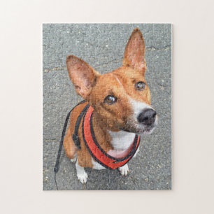 Niedlich Basenji Puzzle