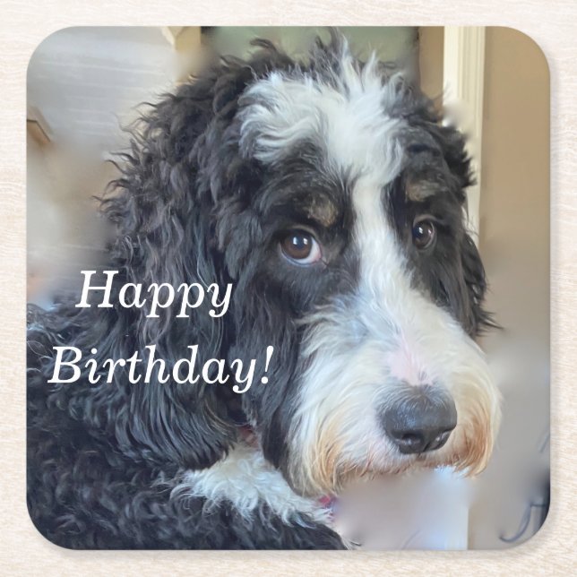 Niedlich Bernedoodle Rechteckiger Pappuntersetzer (Vorderseite)