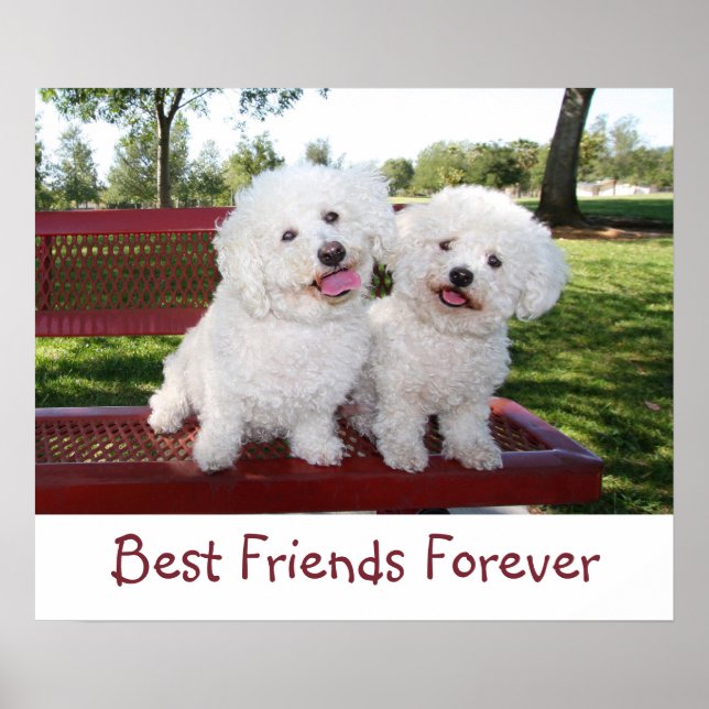 Niedlich Best Friends Forever Poster Print (Vorne)