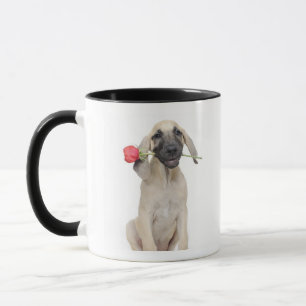 niedlich, Bewunderung, Romance, Liebe, Tasse