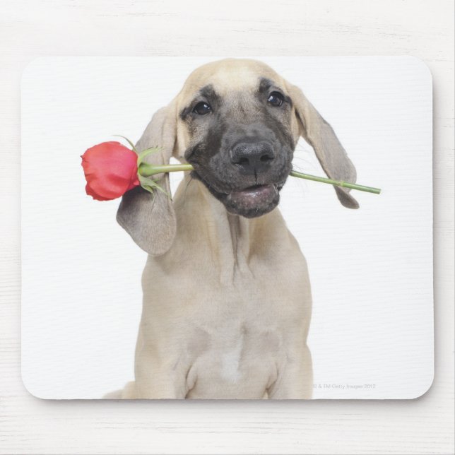 niedlich, Bewunderung, Romantik, Liebe, Mousepad (Vorne)