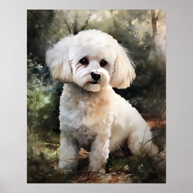 Niedlich Bichon Frise Dog Art Print Poster (Vorne)