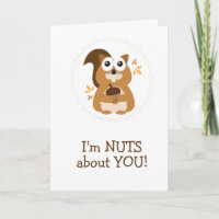 Niedlich bin ich NUTS über DICH Eichhörnchen