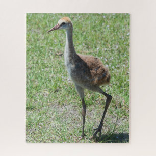 Niedlich Bird Florida Sandhill Krane Naturfotograf Puzzle