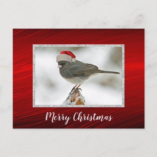 Niedlich Bird Santa Cap Foto Weihnachten Postkarte (Vorderseite)