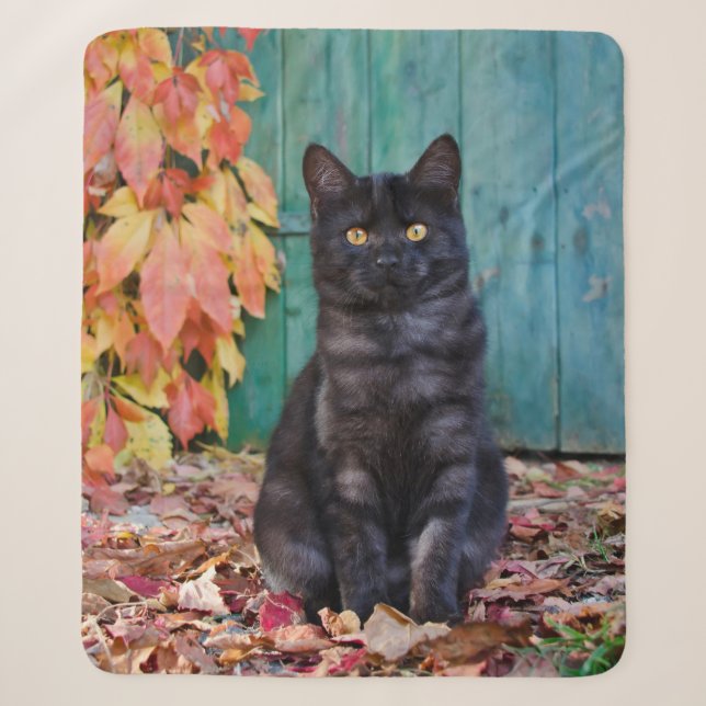 Niedlich Black Cat Kitten mit roten Blätter Blue D Sherpadecke (Vorderseite)