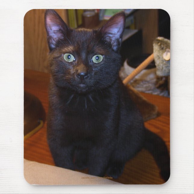 Niedlich Black Cat Mousepad (Vorne)
