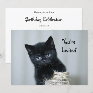 Niedlich Black Kitten Twine Foto Geburtstag Einladung
