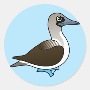 Niedlich-blaufüßiger Booby Runder Aufkleber