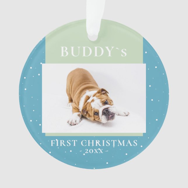 Niedlich Blue Green First Christmas Puppy Foto Ornament (Vorderseite)