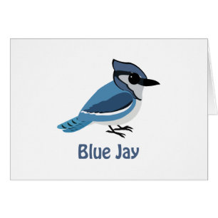 Niedlich Blue Jay
