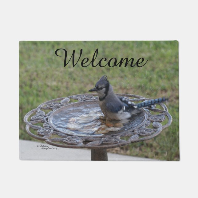 Niedlich Blue Jay Bird Spiegeland Welcome Doormat Fußmatte (Vorderseite)