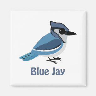 Niedlich Blue Jay Magnet