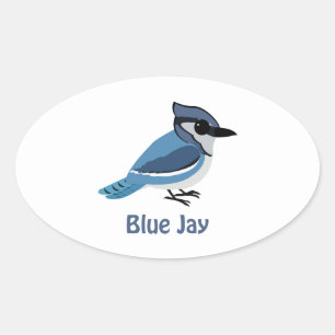 Niedlich Blue Jay Ovaler Aufkleber