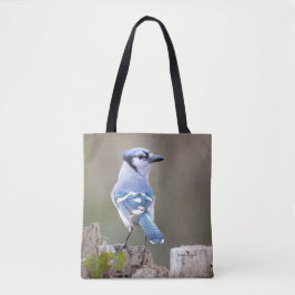 Niedlich Blue Jay Songbird auf Treestump
