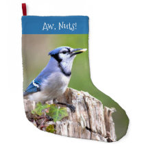 Niedlich Blue Jay Songbird auf Treestump