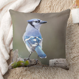 Niedlich Blue Jay Songbird auf Treestump Kissen