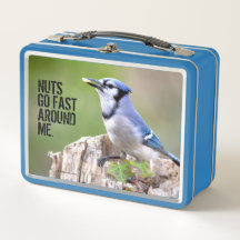 Niedlich Blue Jay Songbird auf Treestump