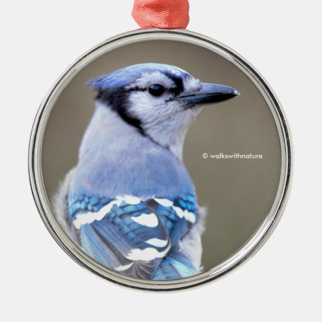 Niedlich Blue Jay Songbird auf Treestump Ornament Aus Metall (Vorne)